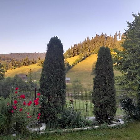 Casa Ionescu Otel Sadova  Dış mekan fotoğraf