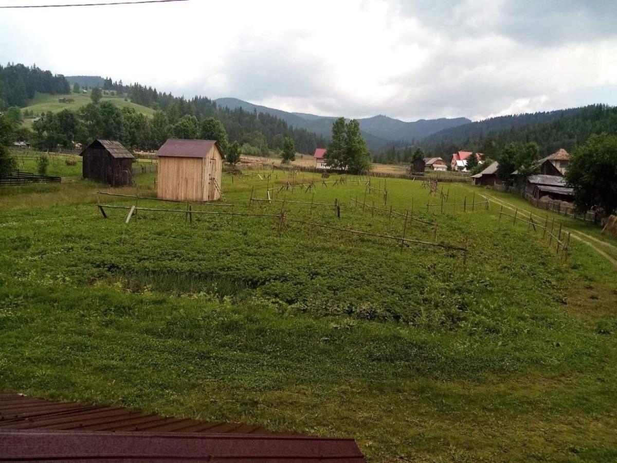 Casa Ionescu Otel Sadova  Dış mekan fotoğraf