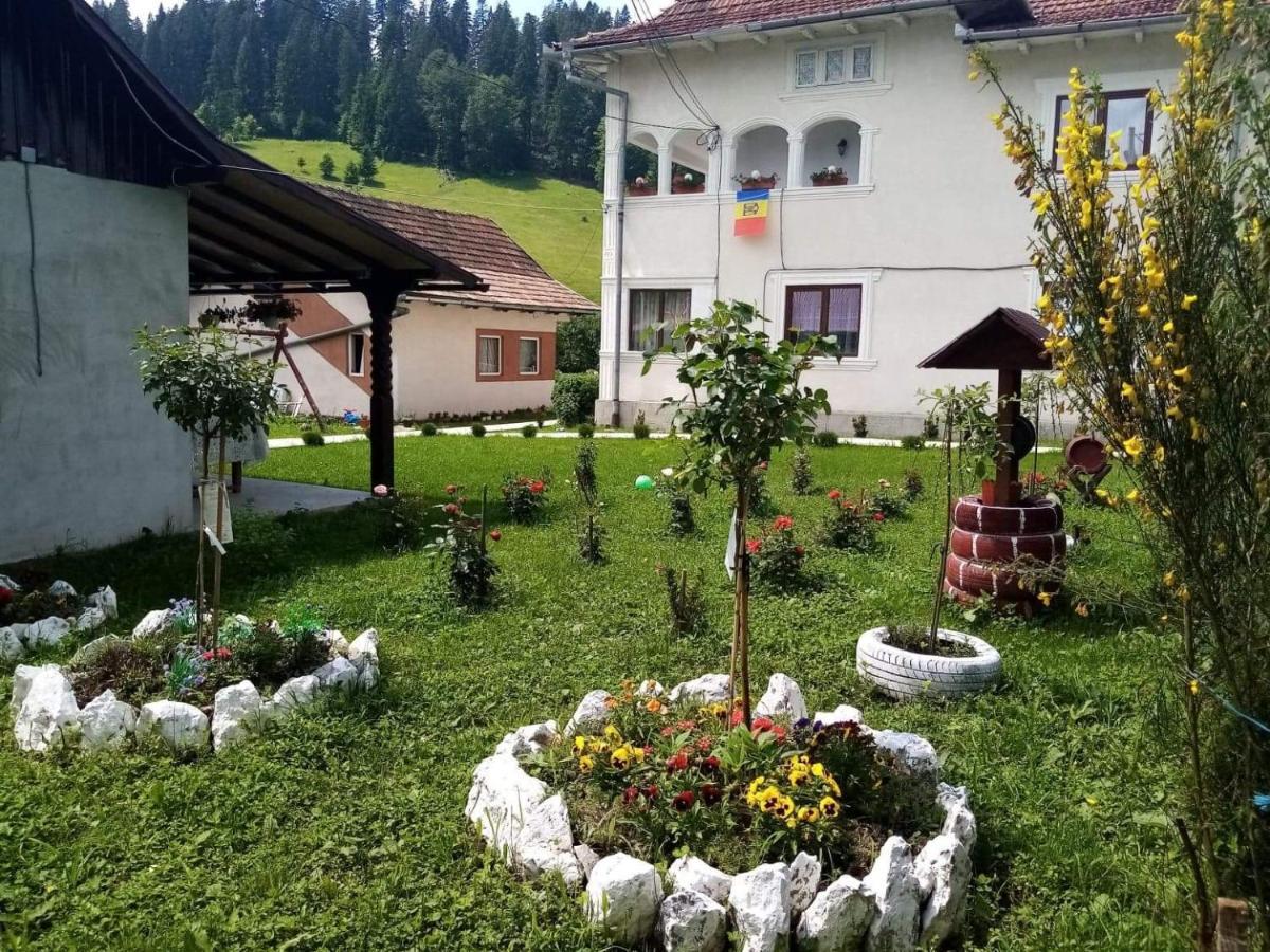 Casa Ionescu Otel Sadova  Dış mekan fotoğraf