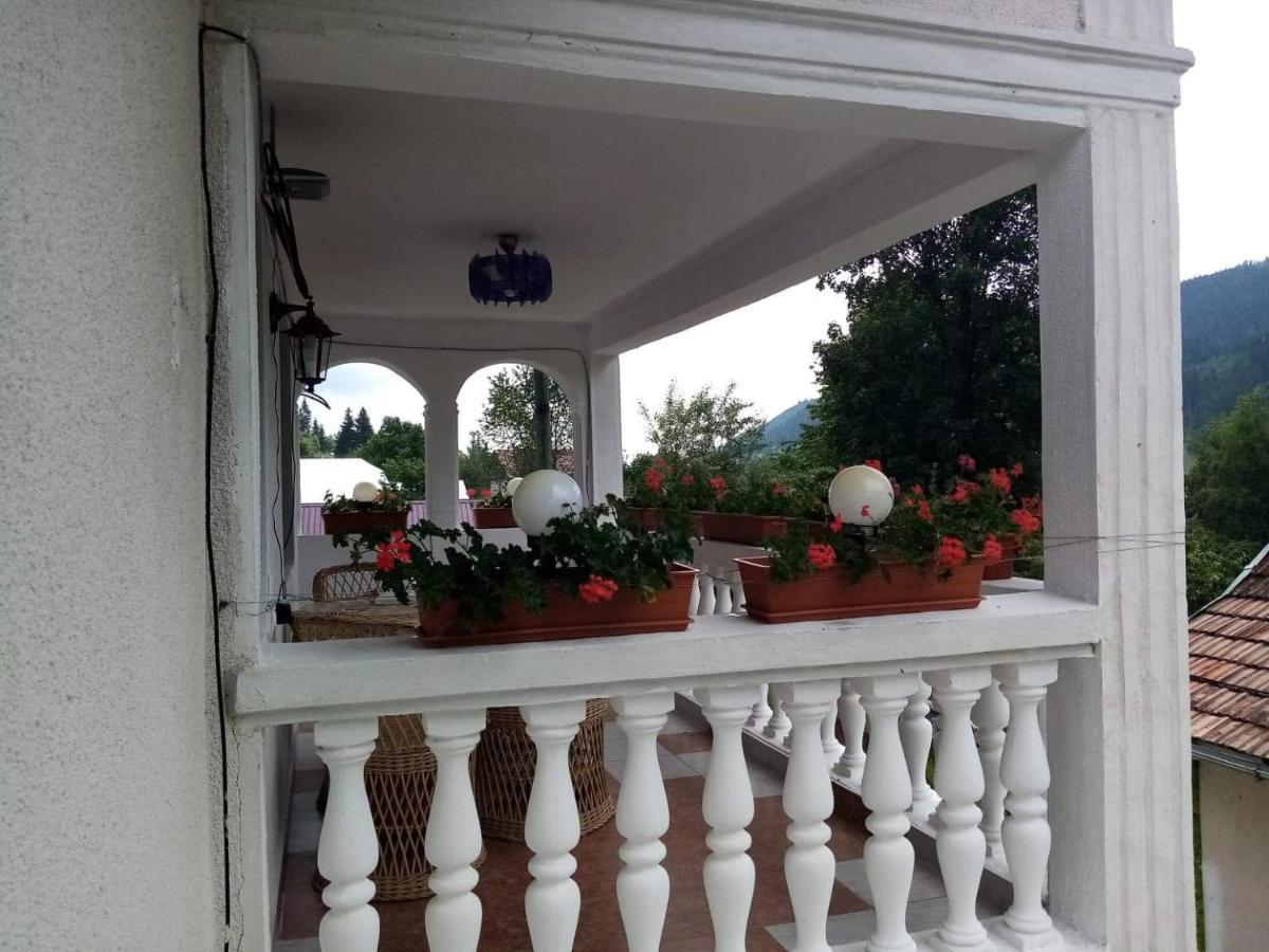 Casa Ionescu Otel Sadova  Dış mekan fotoğraf