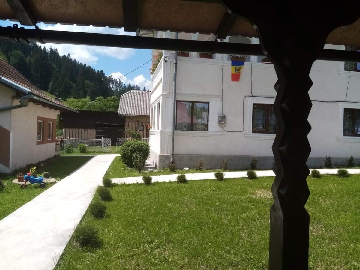 Casa Ionescu Otel Sadova  Dış mekan fotoğraf