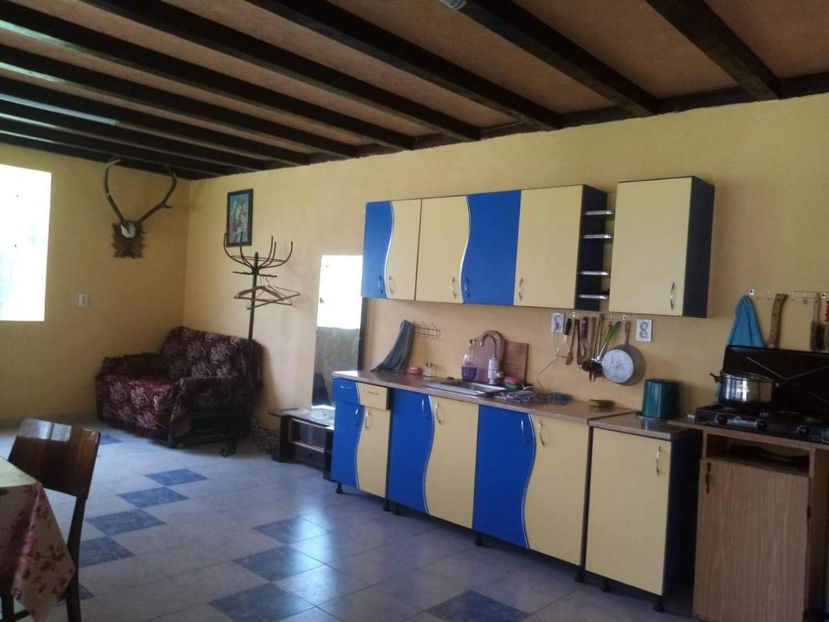 Casa Ionescu Otel Sadova  Dış mekan fotoğraf