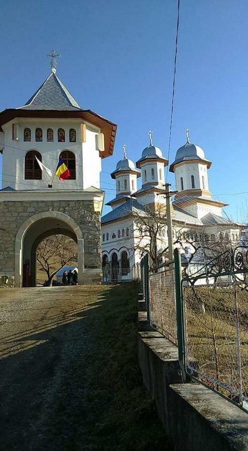Casa Ionescu Otel Sadova  Dış mekan fotoğraf