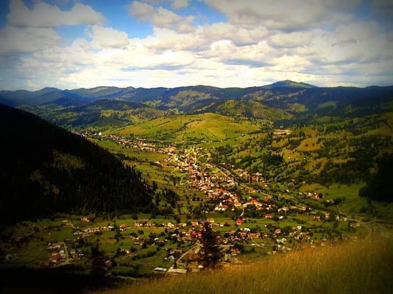 Casa Ionescu Otel Sadova  Dış mekan fotoğraf